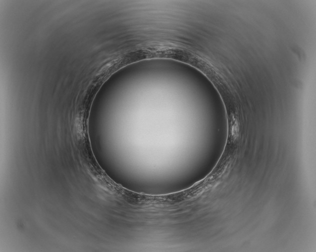 X0000111200819200907011431