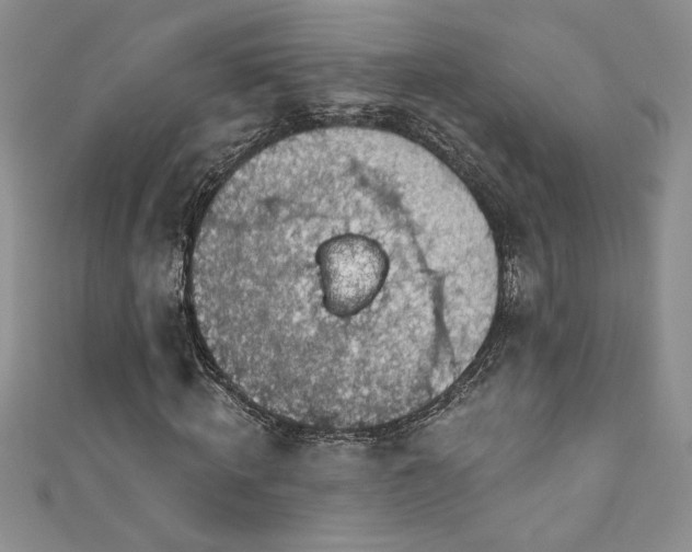 X0000111200820200907011431