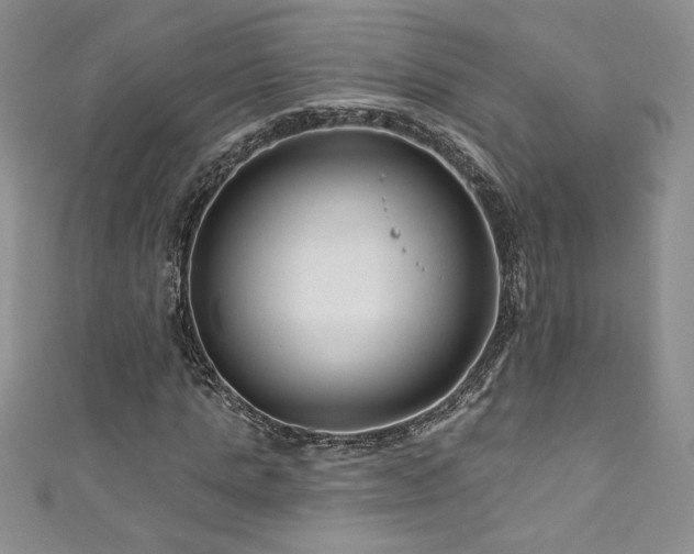 X0000111200821200907011431