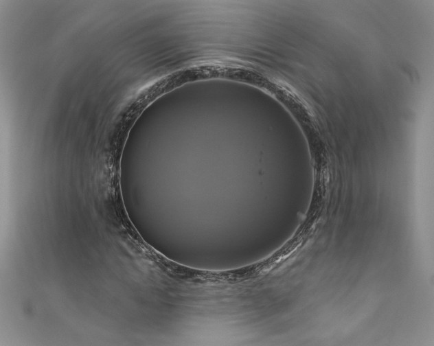 X0000111200822200907011431