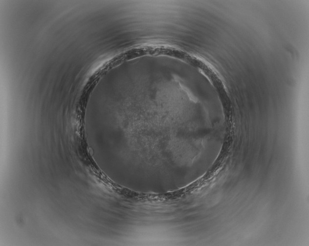 X0000111200823200907011431