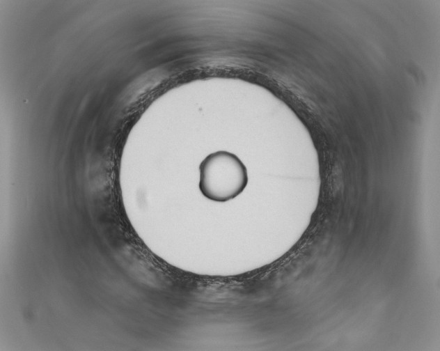 X0000111200824200907011431