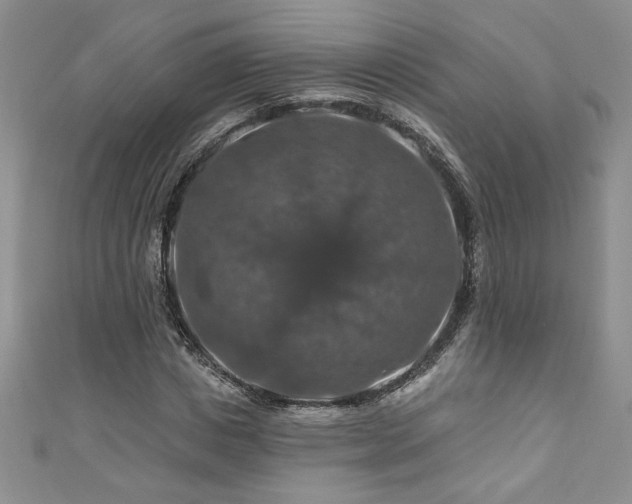 X0000111200825200907011431