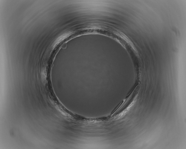 X0000111200826200907011431