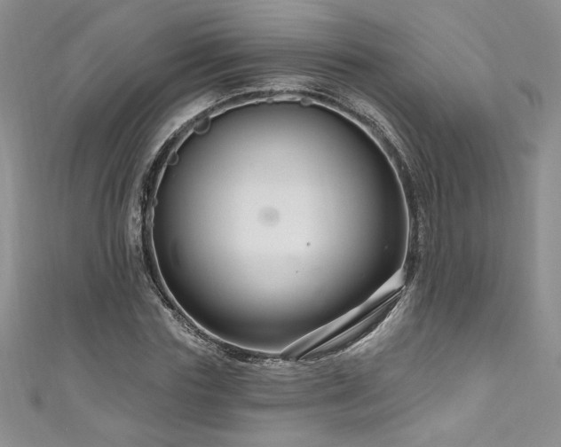 X0000111200827200907011431