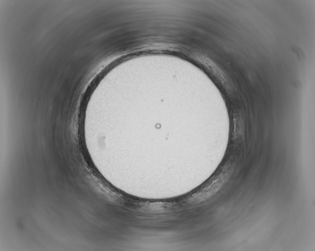 X0000111200828200907011431