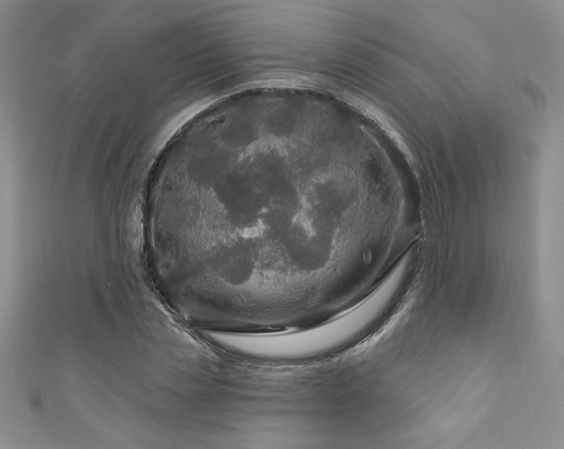 X0000111200829200907011431