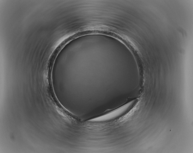 X0000111200830200907011431