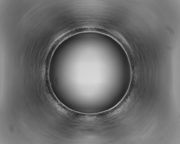 X0000111200831200907011431