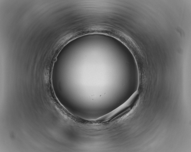 X0000111200833200907011431