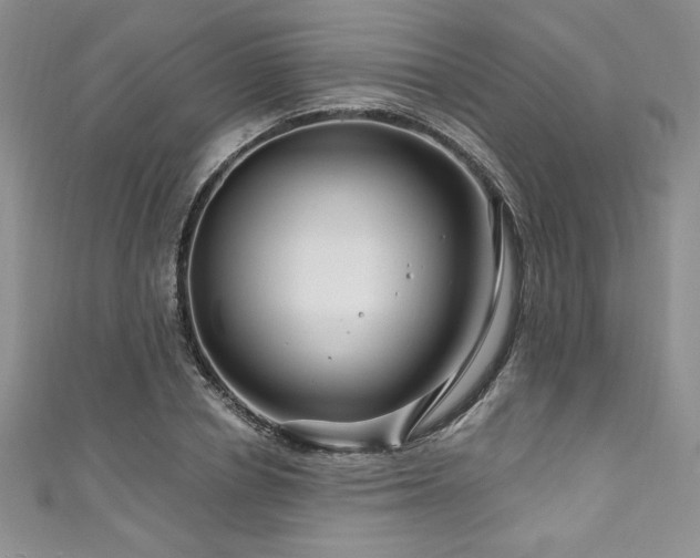 X0000111200834200907011431