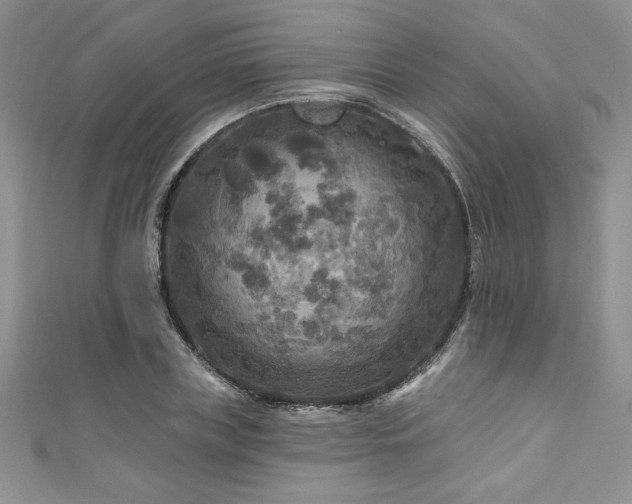 X0000111200835200907011431