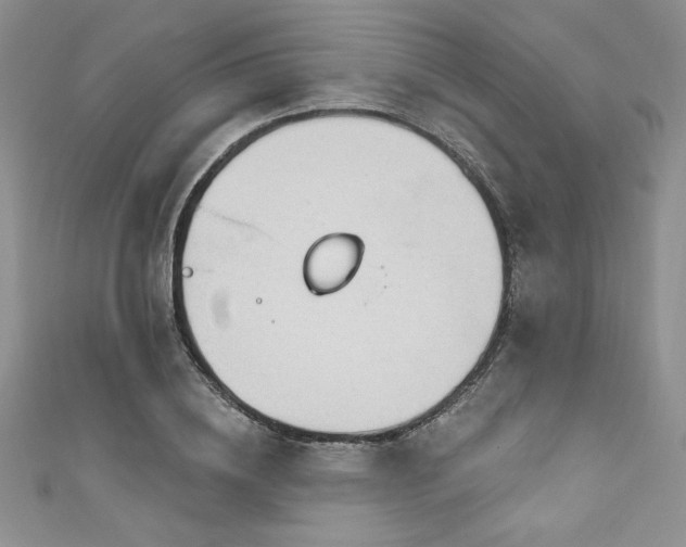 X0000111200836200907011431