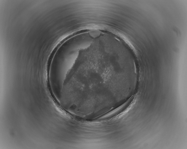 X0000111200837200907011431