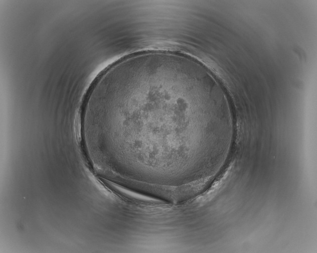 X0000111200838200907011431