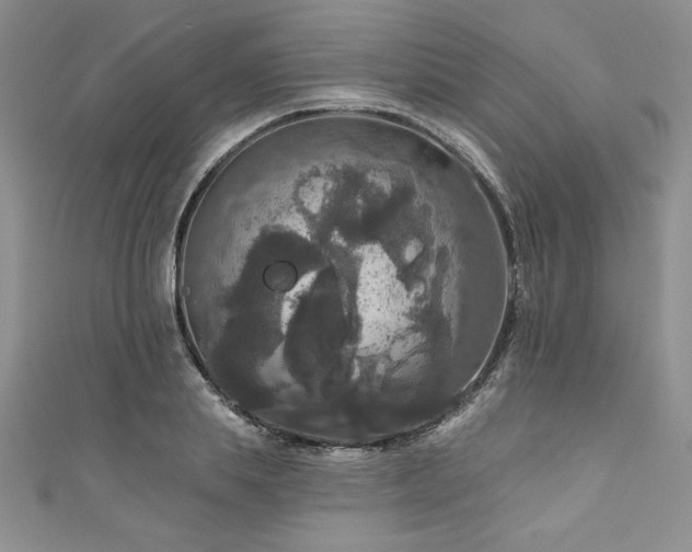 X0000111200839200907011431