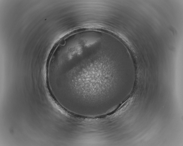 X0000111200840200907011431