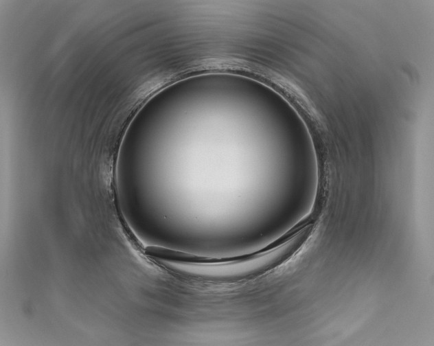 X0000111200841200907011431