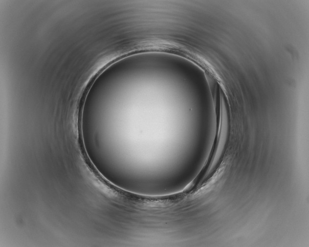 X0000111200843200907011431