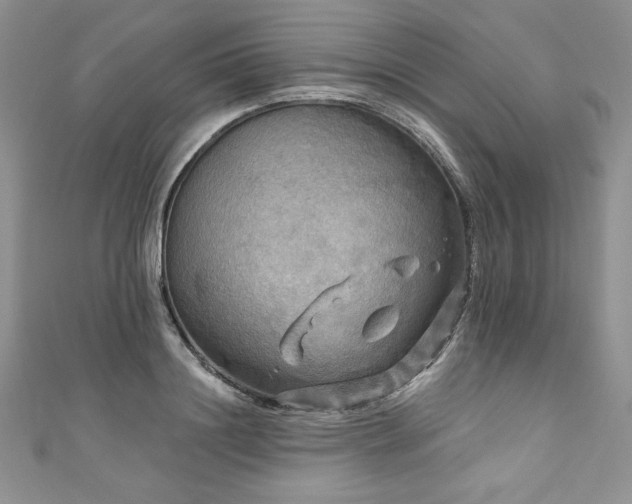 X0000111200844200907011431