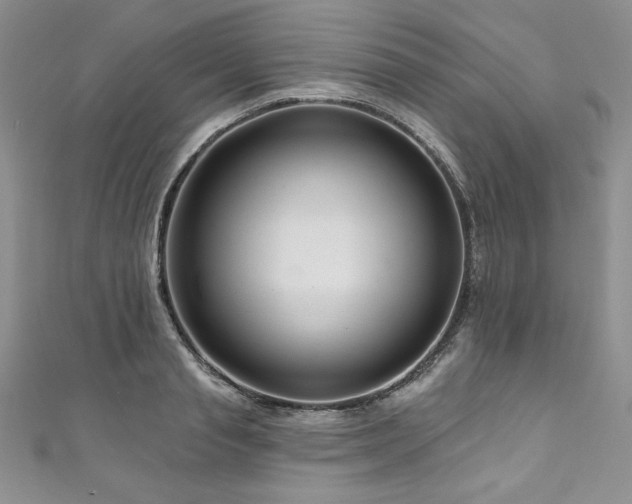 X0000111200845200907011431