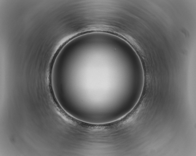 X0000111200846200907011431