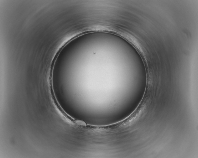 X0000111200847200907011431