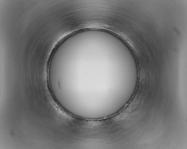 X0000111200848200907011431