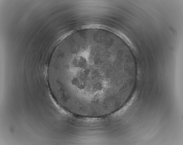 X0000111200849200907011431