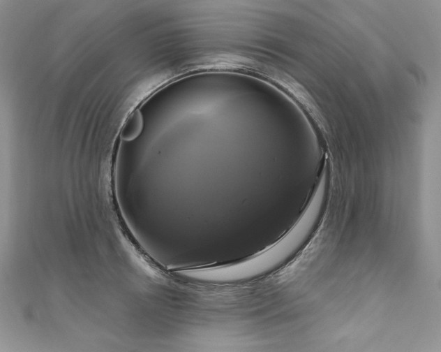 X0000111200850200907011431