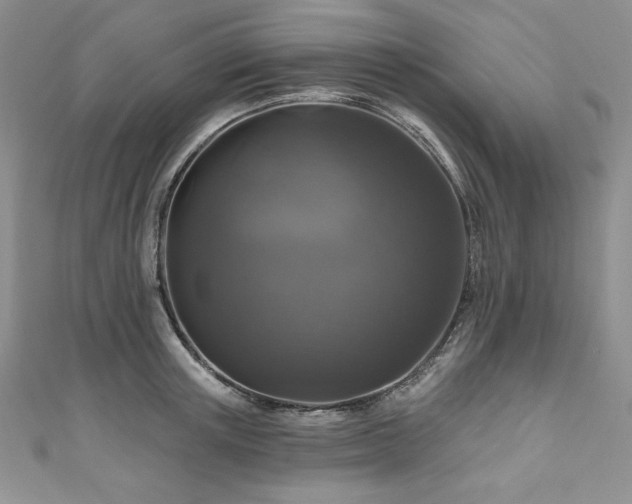 X0000111200851200907011431