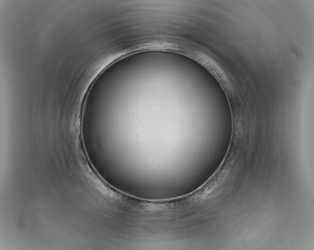 X0000111200852200907011431