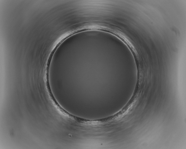 X0000111200853200907011431