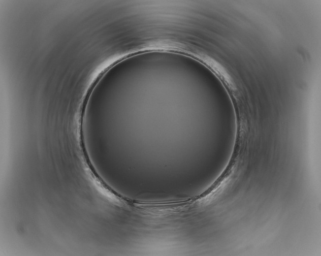 X0000111200854200907011431