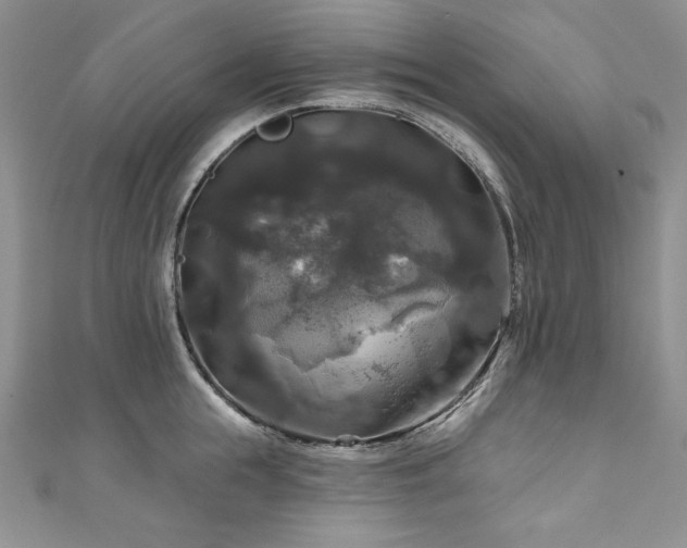 X0000111200855200907011431