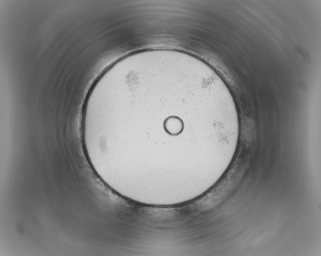 X0000111200856200907011432