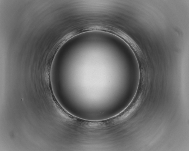 X0000111200857200907011432