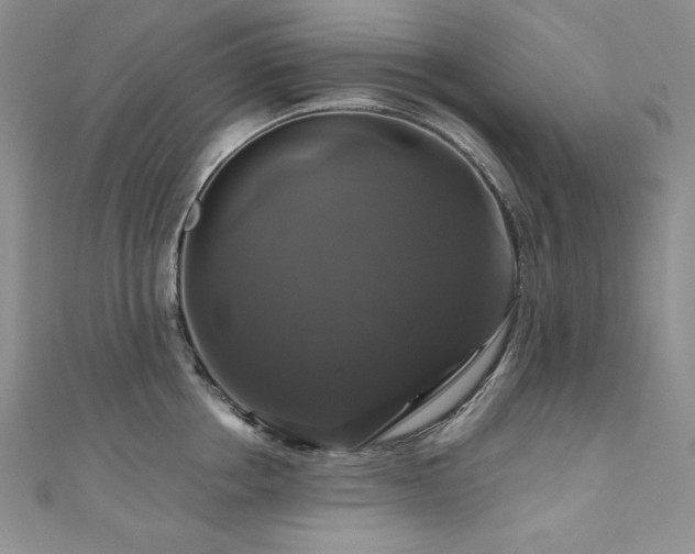 X0000111200858200907011432