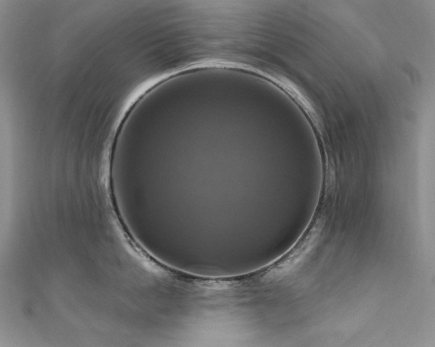 X0000111200862200907011432