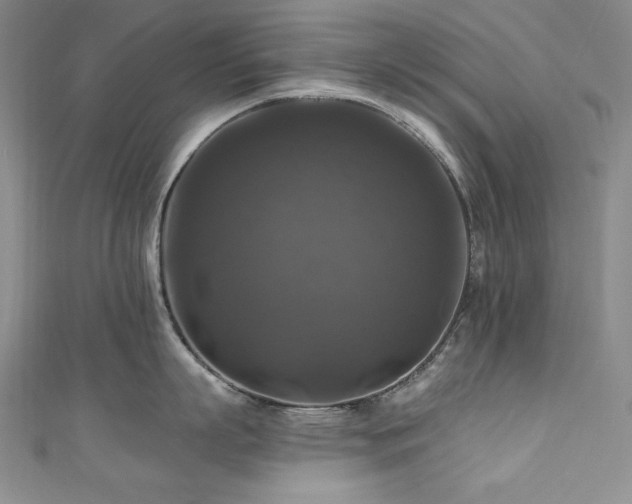 X0000111200863200907011432