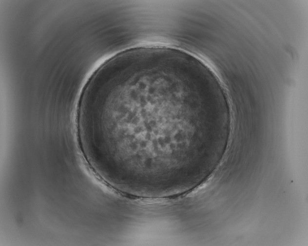 X0000111200864200907011432