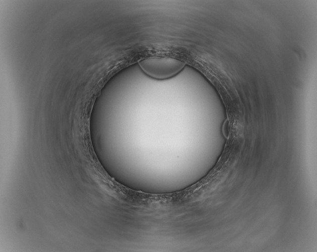 X0000111200865200907011431