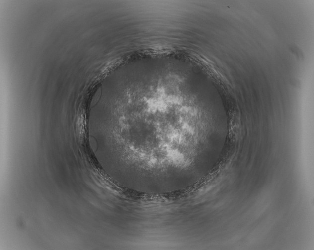 X0000111200866200907011431