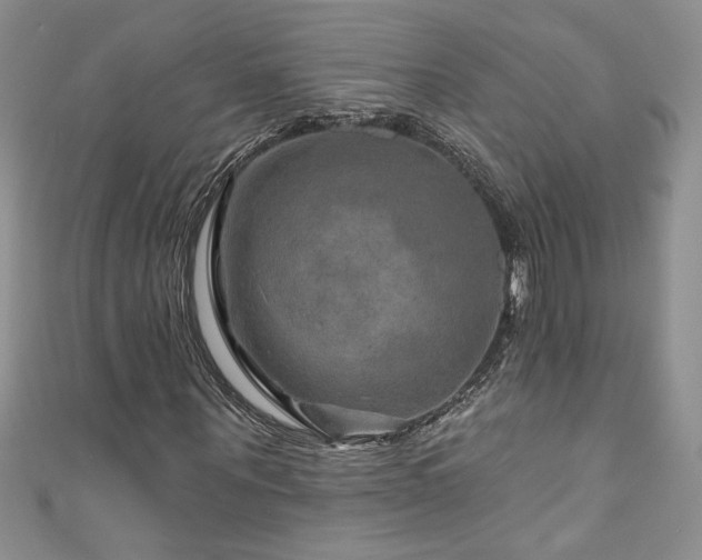 X0000111200867200907011431