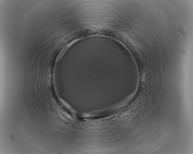 X0000111200868200907011431