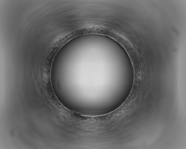 X0000111200869200907011431