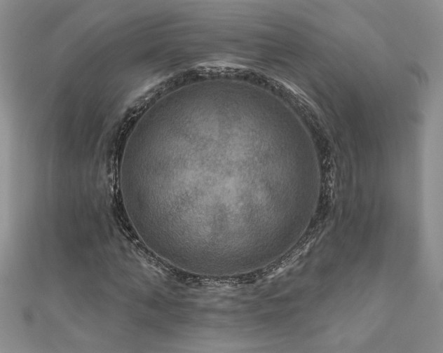 X0000111200870200907011431