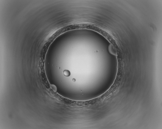 X0000111200871200907011431