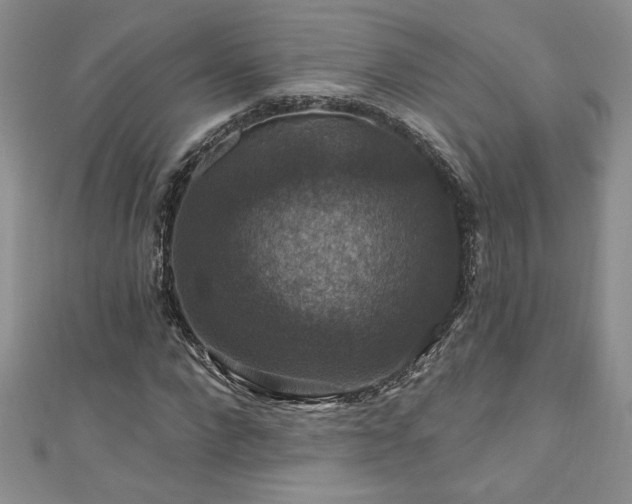 X0000111200872200907011431