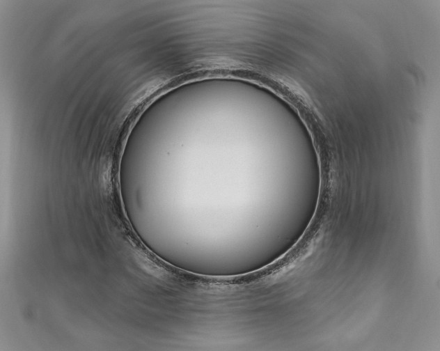 X0000111200873200907011431